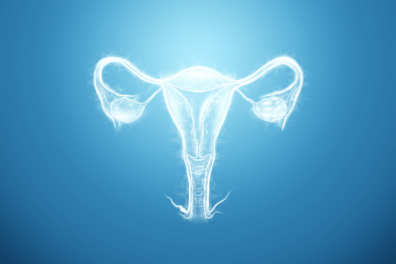 Monitorização da ovulação 